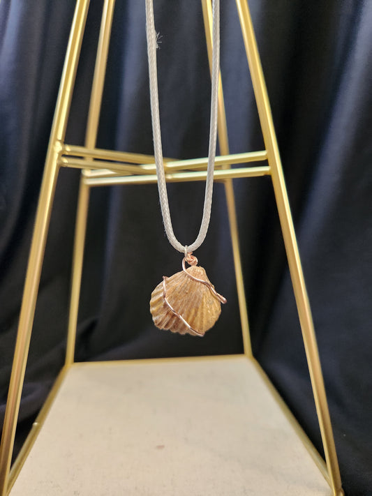 Brachiopod Fossil Necklace