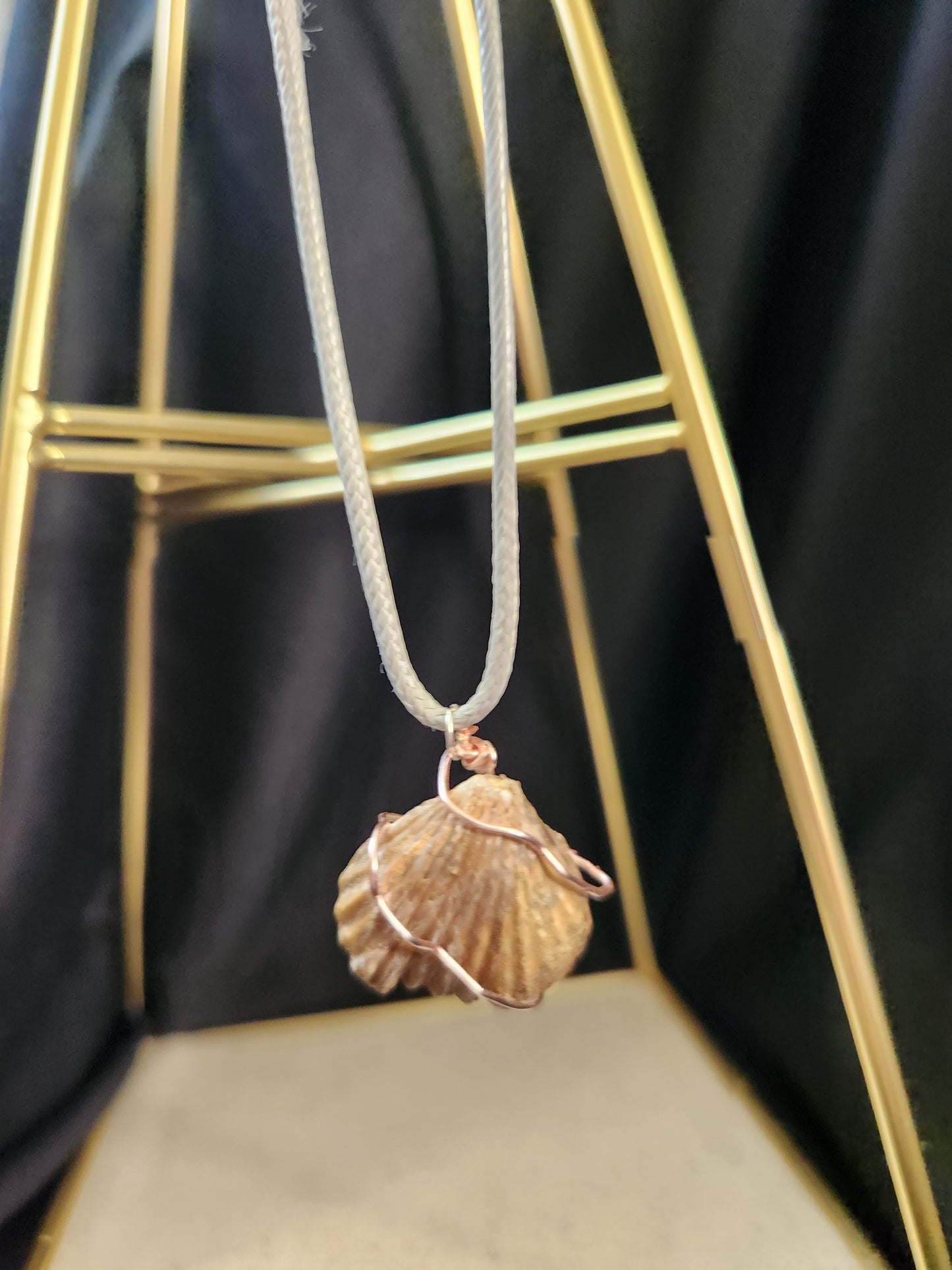 Brachiopod Fossil Necklace