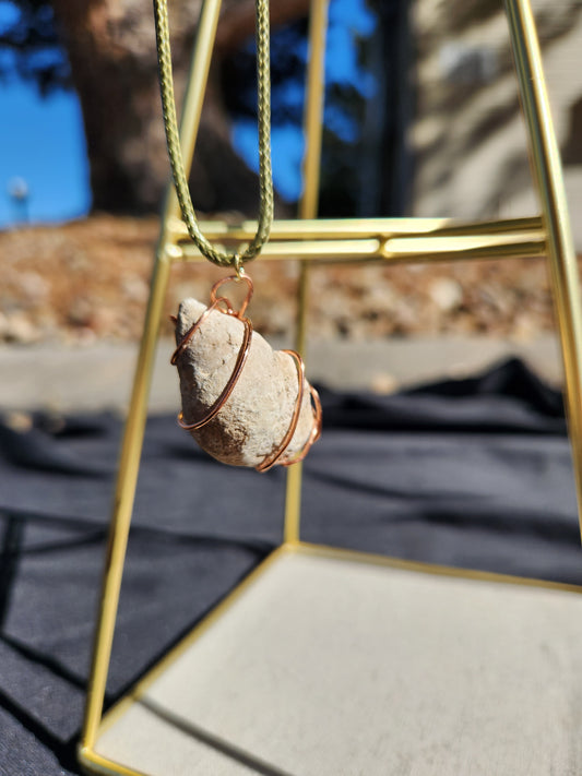 Gastropod Fossil Necklace