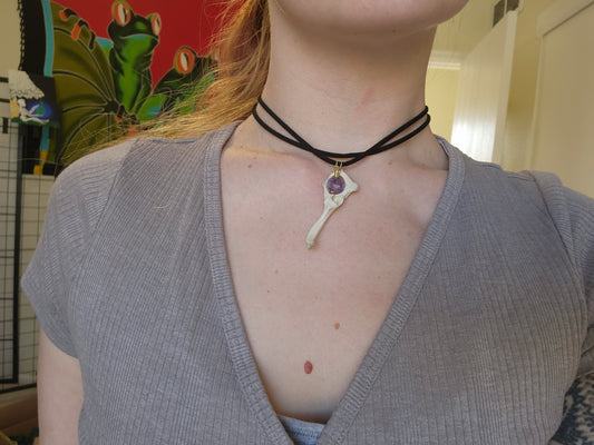 Pelvis and Amethyst choker